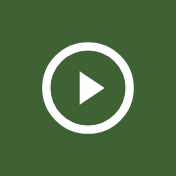 Оплата программы и получение доступа в Telegram
